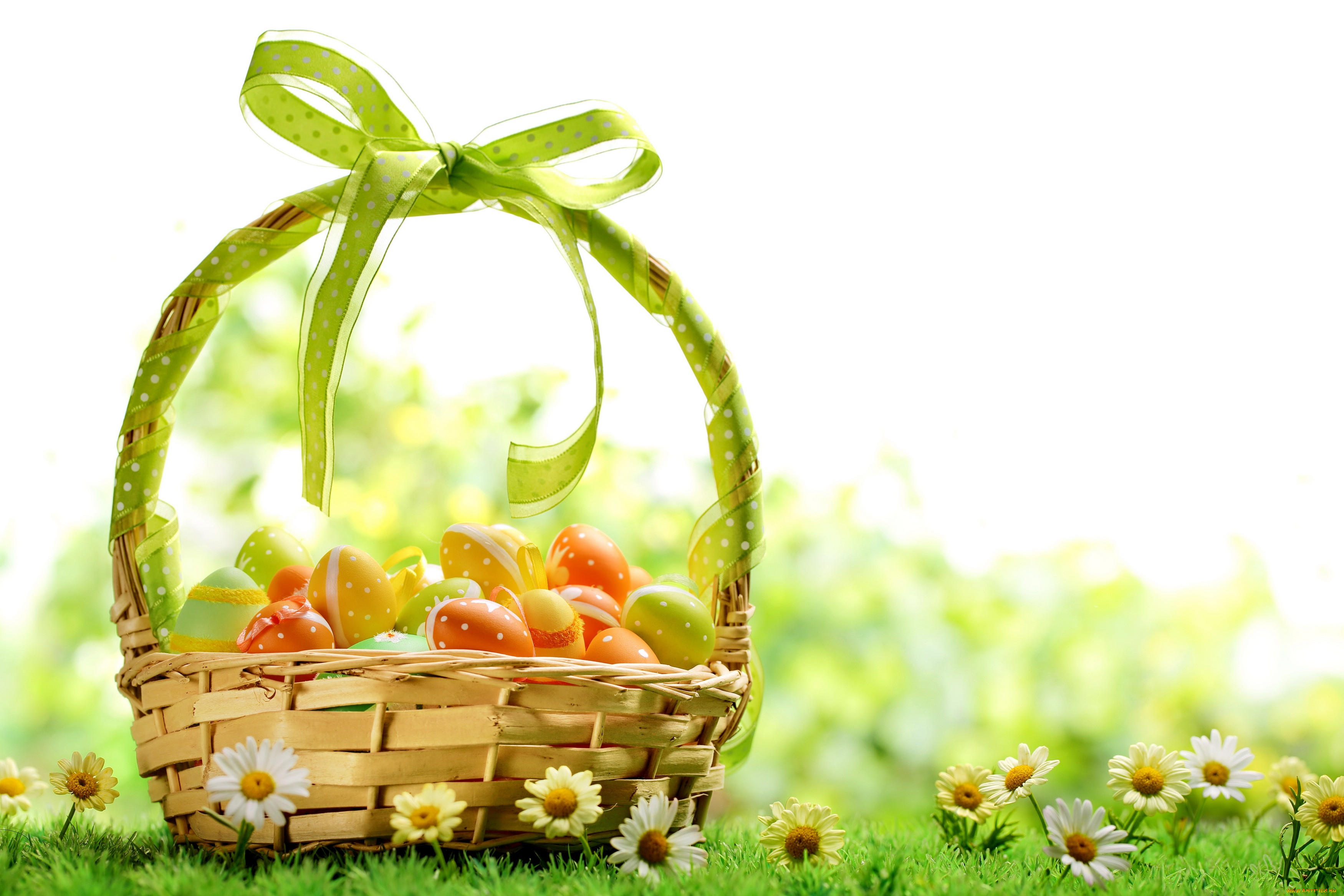 , , , , , easter, , , , daisy, spring, , flowers, eggs, colorful